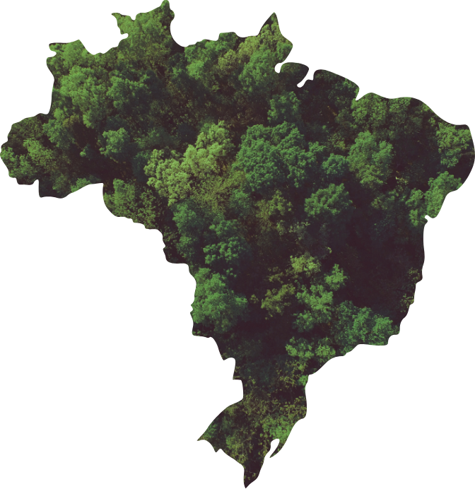 Mapa do Brasil todo florestado
